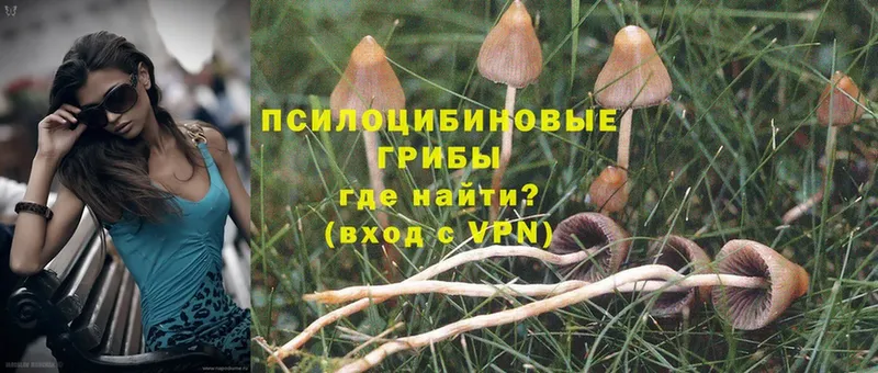 Псилоцибиновые грибы Magic Shrooms  Северск 